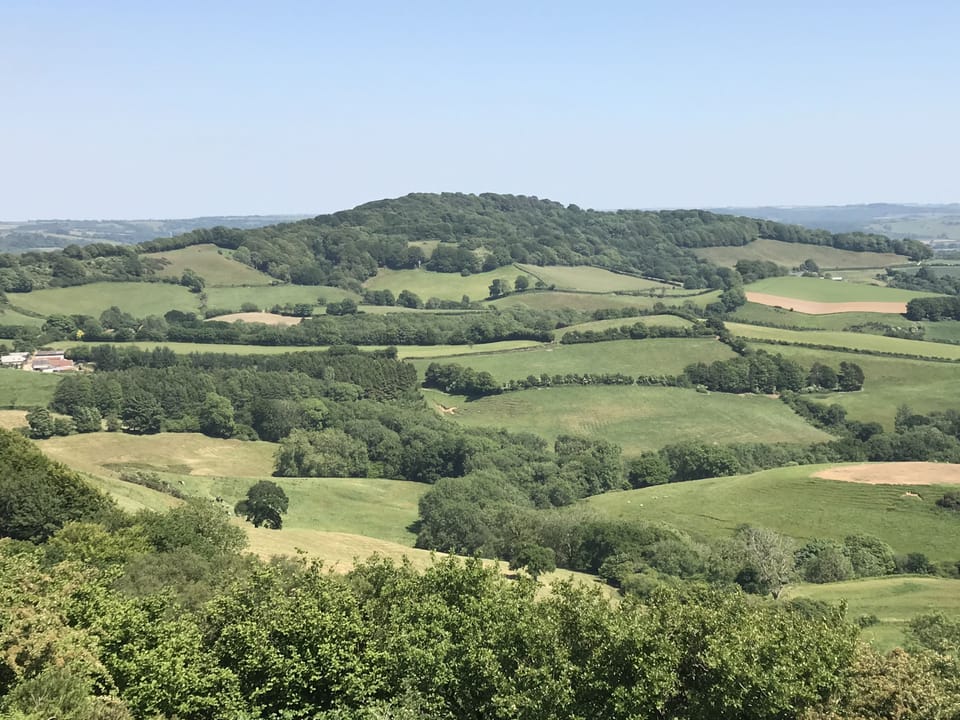 The Old Chapel, Stoke Abbott: Lewesdon Hill, one of the highest points in Dorset