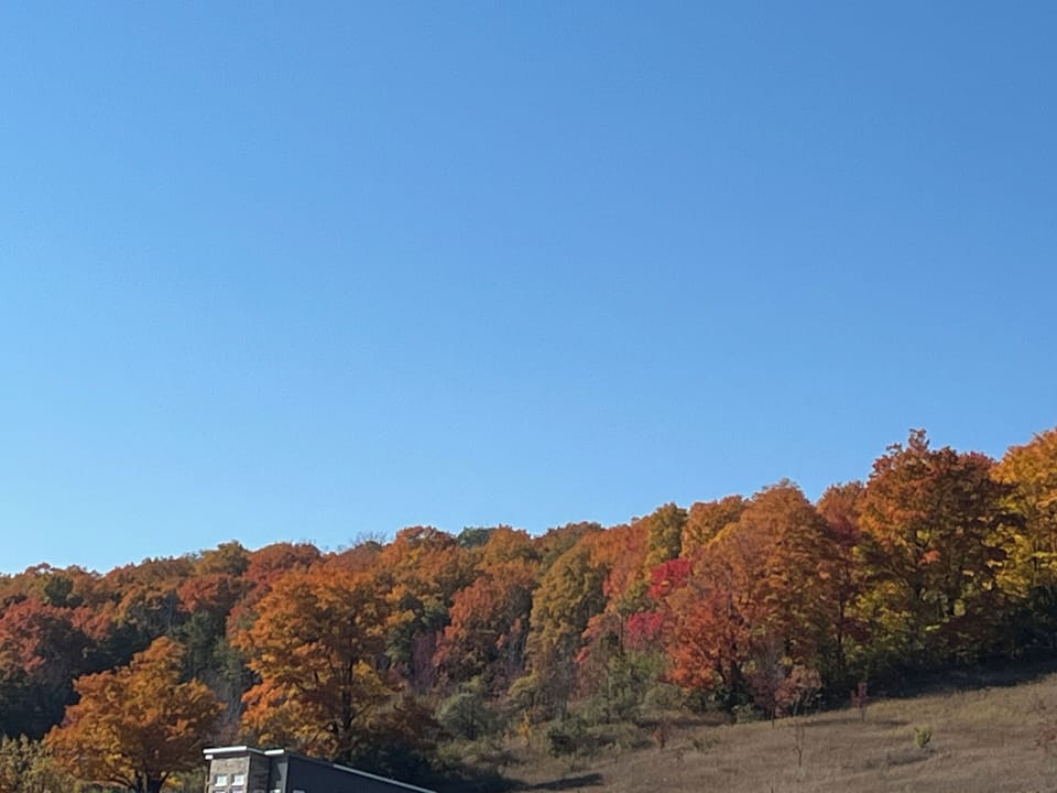 Fall Country Colours
