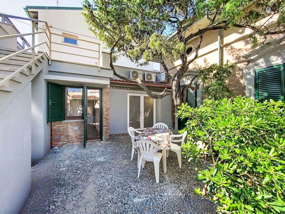 Shade, Balcony, Yard, Courtyard, Walkway, Driveway, Houseplant