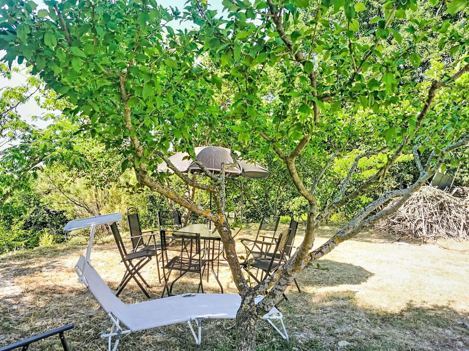 Leaf, Branch, Outdoor Furniture, Spring, Outdoor Table, Woody Plant, Shade, Garden, Twig, Backyard