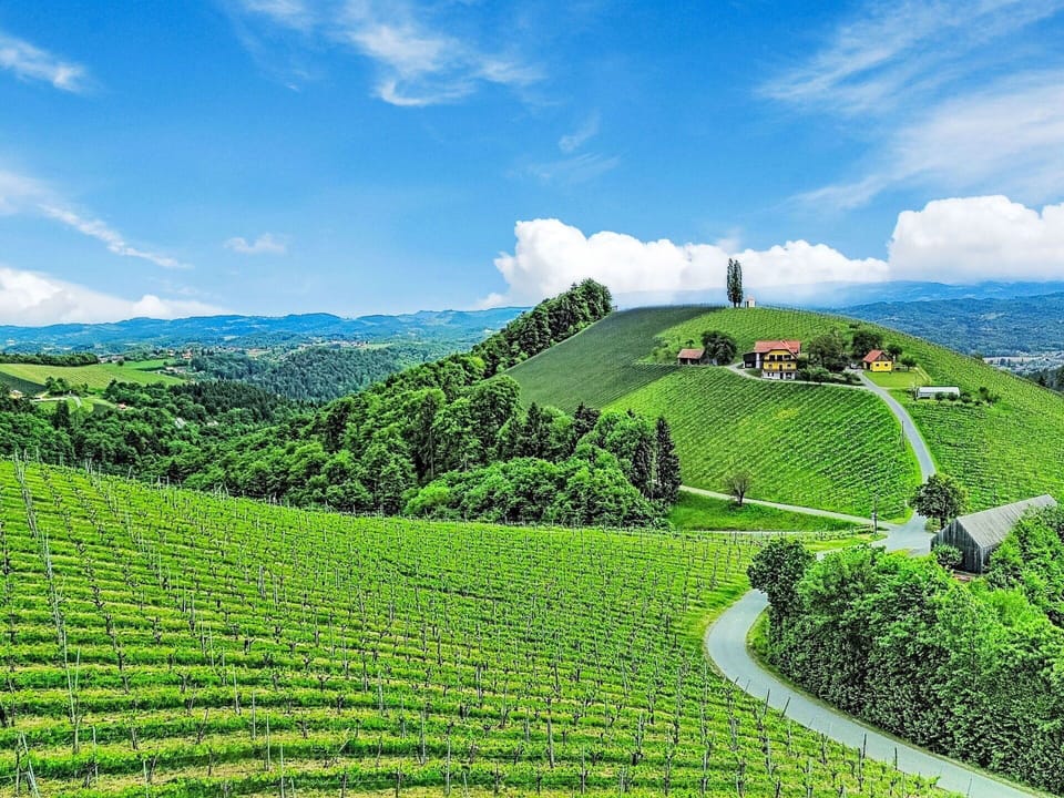 Green, Hill, Highland, Agriculture, Plantation, Hill Station, Field, Rural Area, Meadow, Pasture