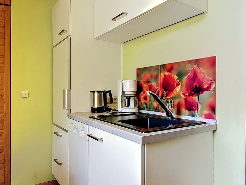 Countertop, Kitchen, Kitchen Appliance, Interior Design, Kitchen Sink, Flooring, Major Appliance, Cabinetry, Furniture, Plumbing Fixture