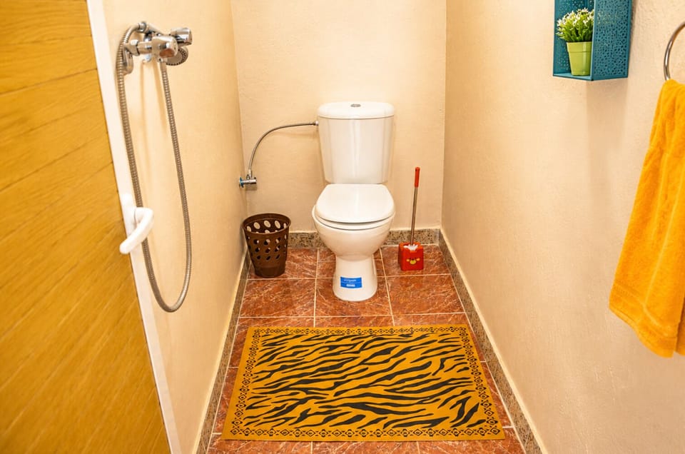 Shower, hair dryer (on request), slippers, towels