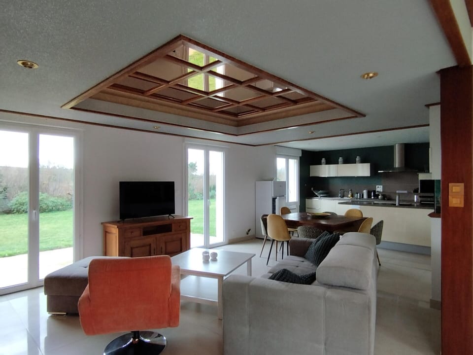 House | Living room | Fireplace