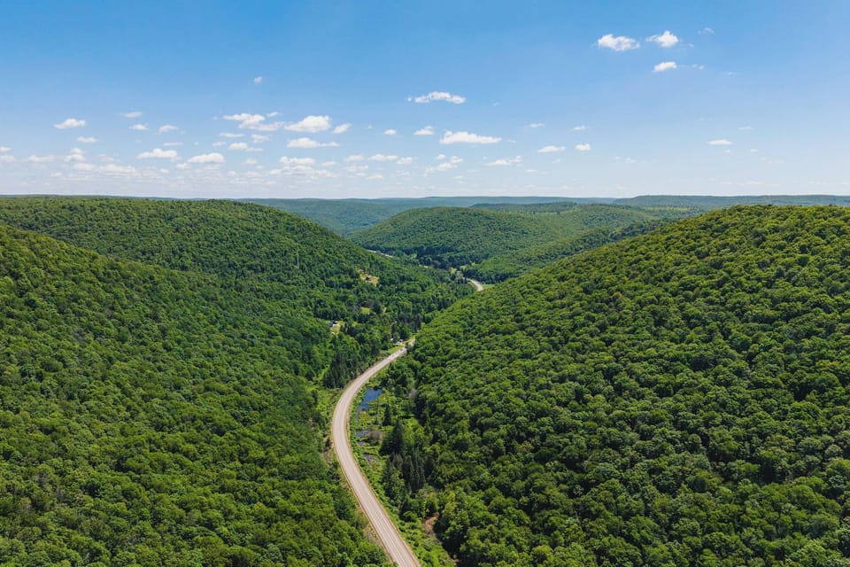 🌄 Mile after mile of state forest views.