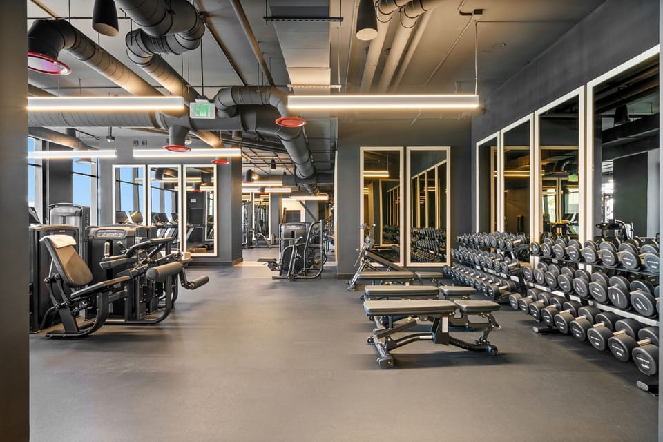 Gym with dumbbell racks and strength equipment.