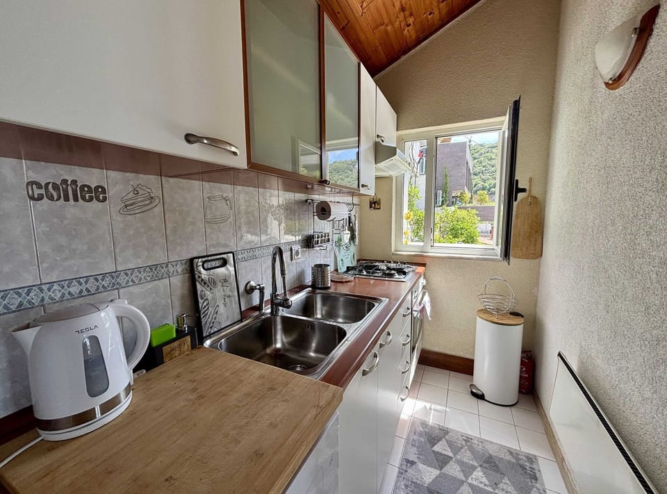 Apartment (One Bedroom Apartment with Terrace) | Private kitchen | Fridge
