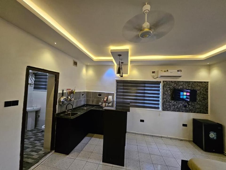 Economy Apartment, Balcony, City View | Private kitchen | Fridge, microwave, oven, stovetop