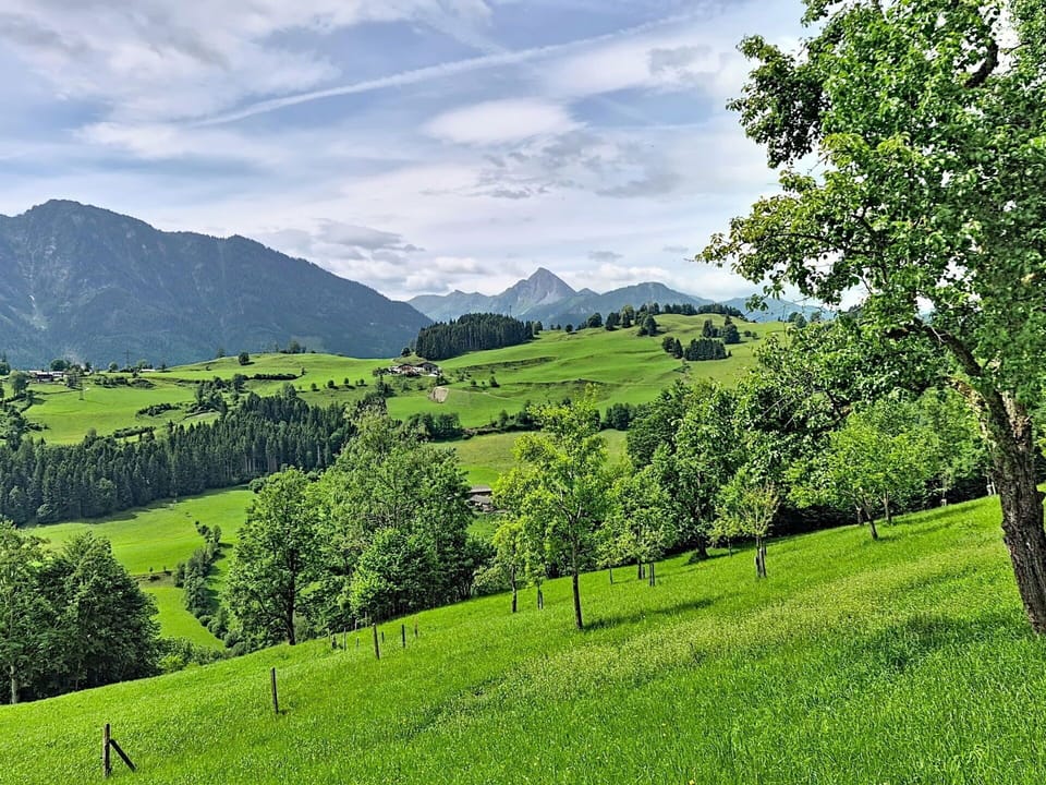 Mountainous Landforms, Green, Tree, Hill, Grass, Natural Environment, Natural Landscape, Mountain, Grassland, Highland