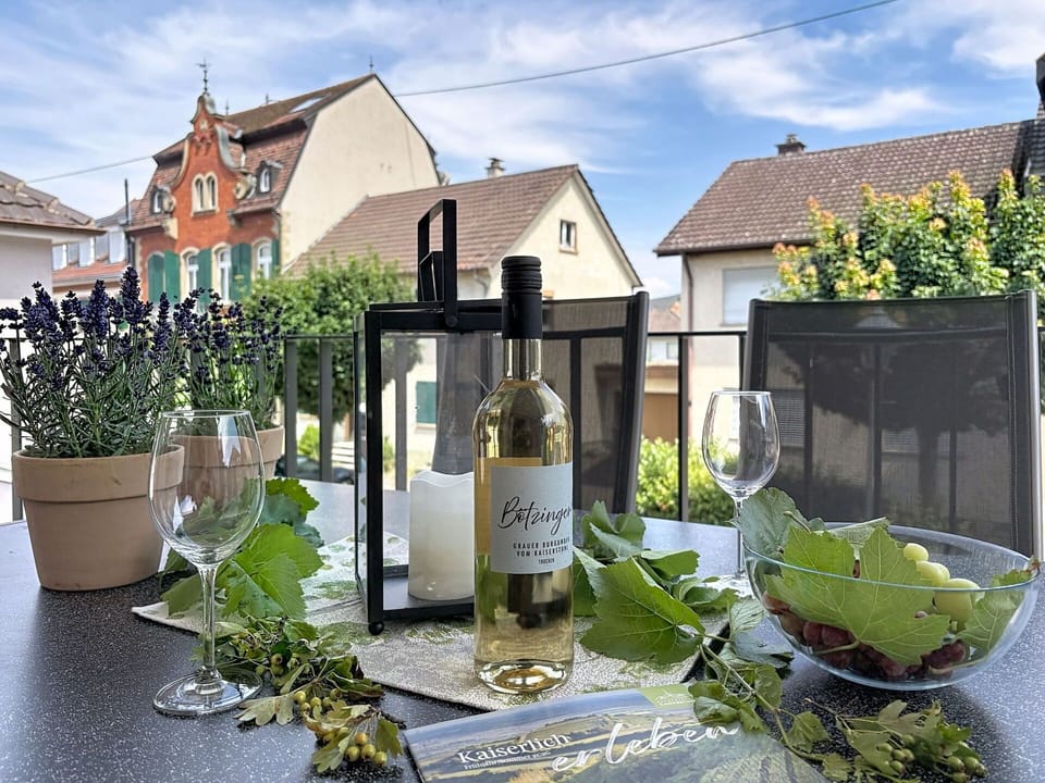 Bottle, Glass Bottle, Glass, Flowerpot, Wine Bottle, Houseplant, Wine