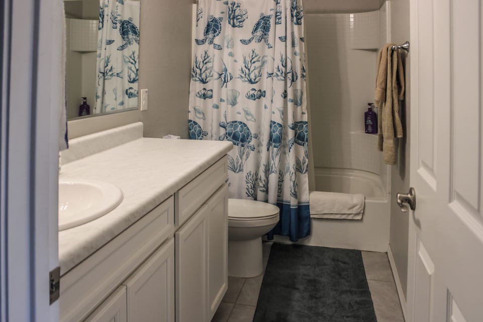 Hair dryer, towels, toilet paper