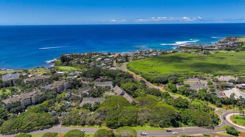 Multiple beaches to explore including Poipu Beach which is great lifeguarded beach for families