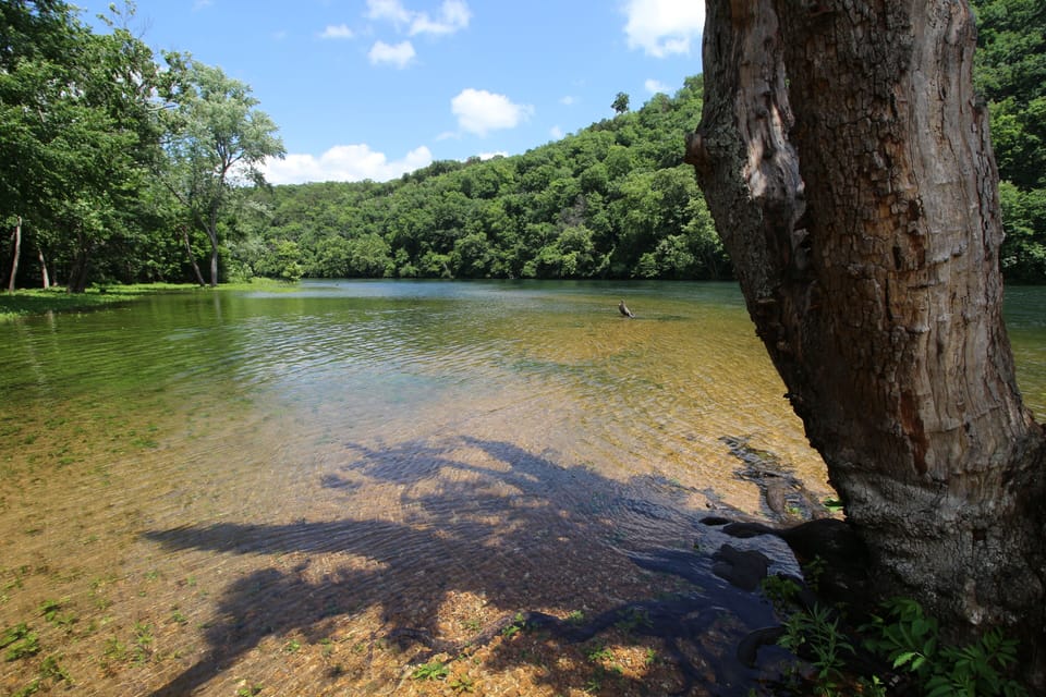 Peaceful riverfront escape with clear water and lush wooded views