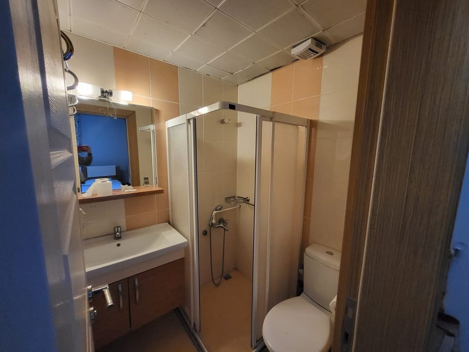 Family Room, Mountain View | Bathroom | Shower, hair dryer, slippers, towels