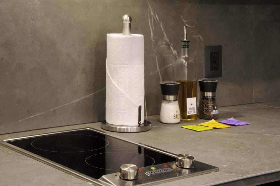 Modern cooktop with essential kitchen amenities.