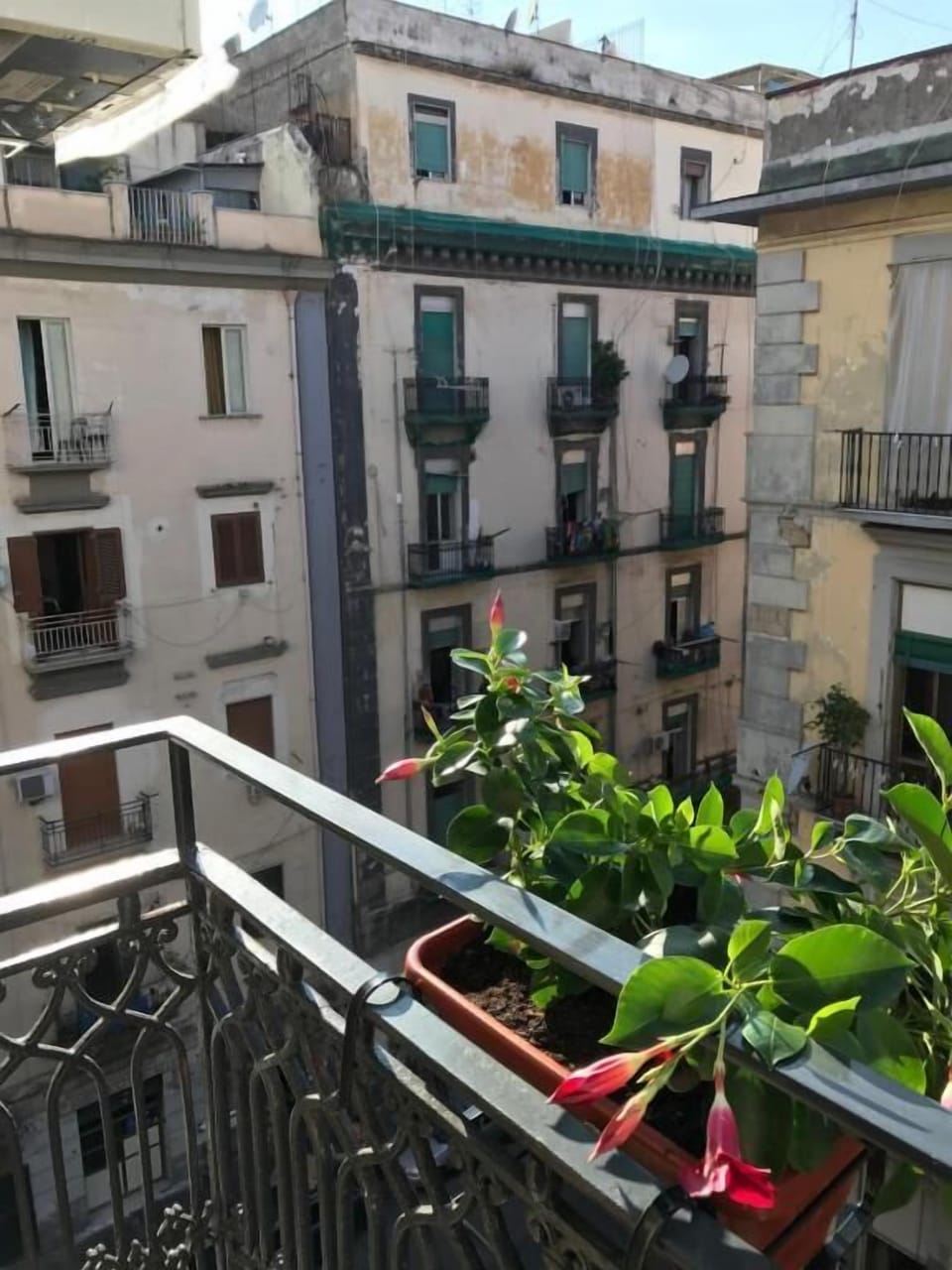 Junior Suite, Balcony, City View | Property grounds