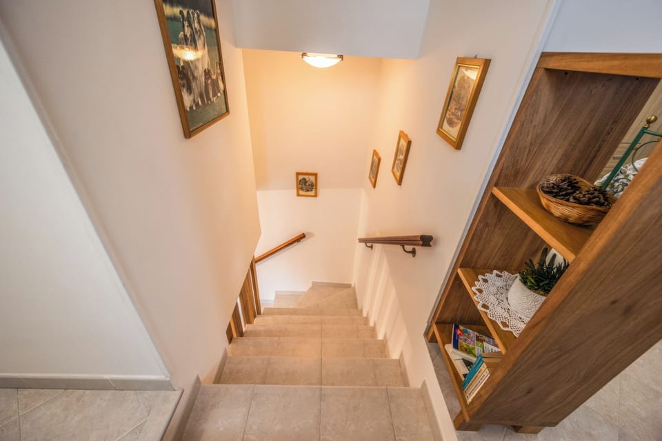 House, Mountain View | Interior