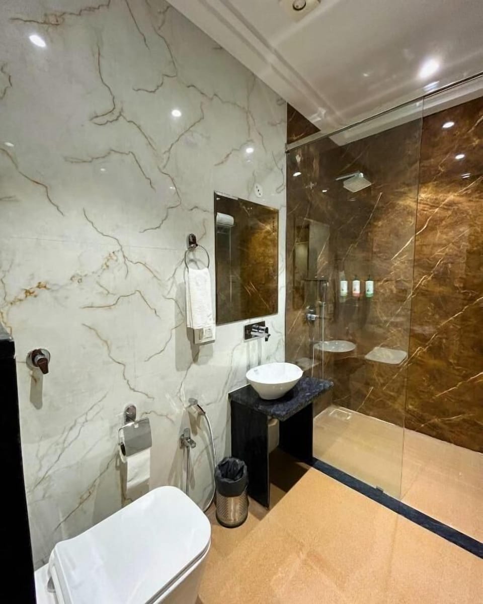 Deluxe Double Room | Bathroom | Free toiletries, towels, toilet paper