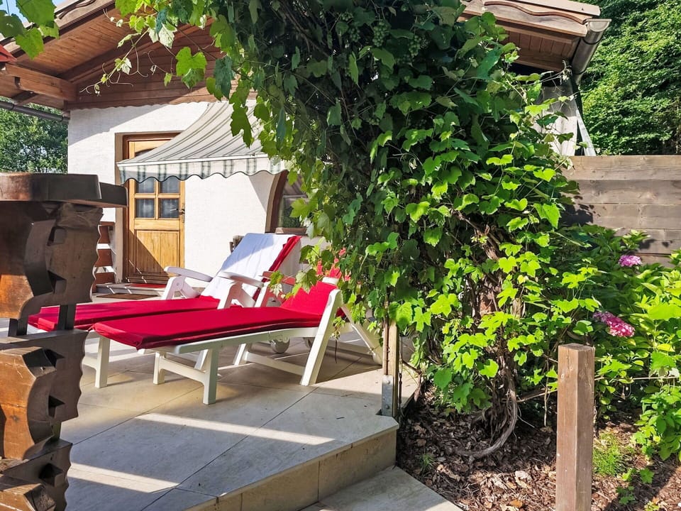 Shrub, Outdoor Furniture, Garden, Shade, Spring, Umbrella, Outdoor Structure, Chair, Backyard
