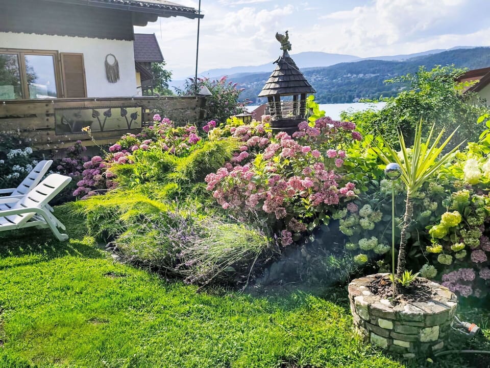 Flower, Garden, Shrub, Groundcover, Spring, Landscaping, Yard, Backyard, Lawn