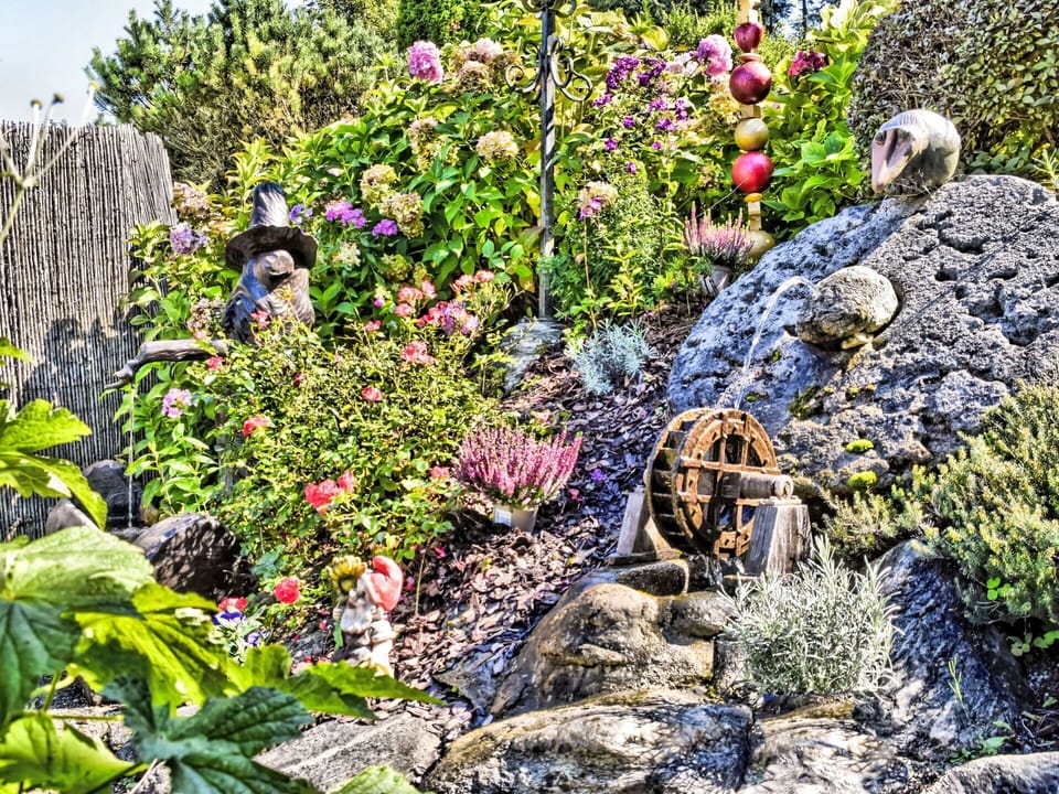 Flower, Green, Garden, Shrub, Rock, Plant Community, Lawn Ornament, Groundcover, Botanical Garden