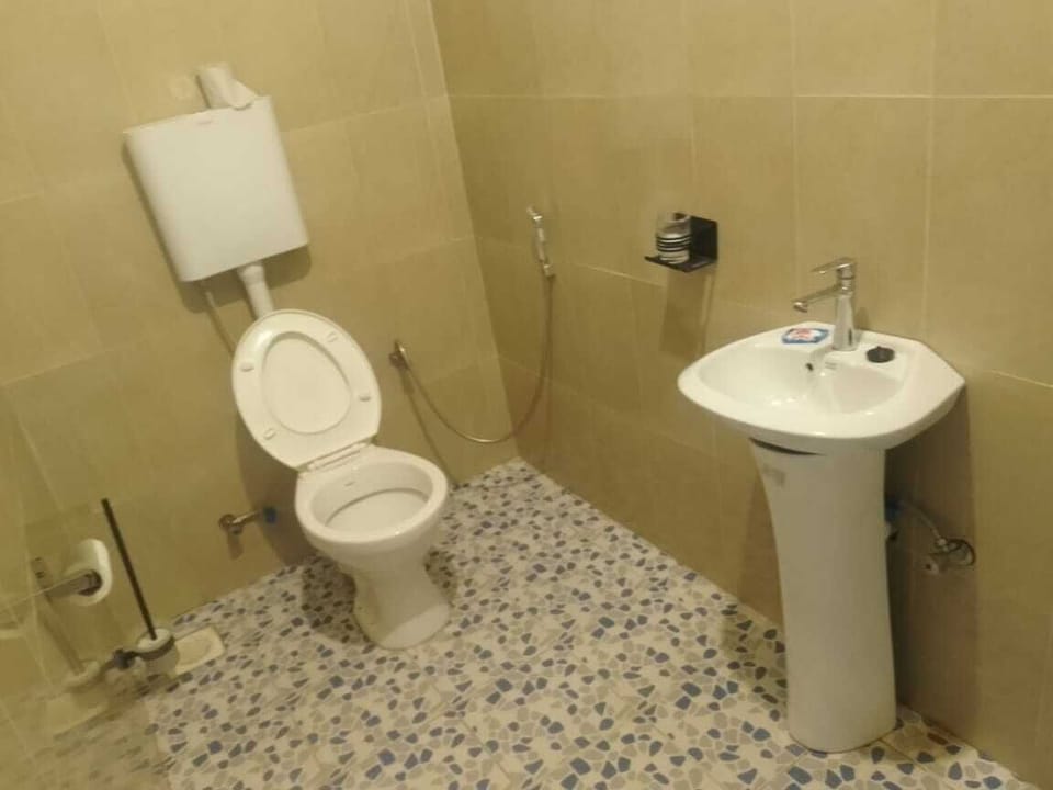 Shower, towels, soap, toilet paper