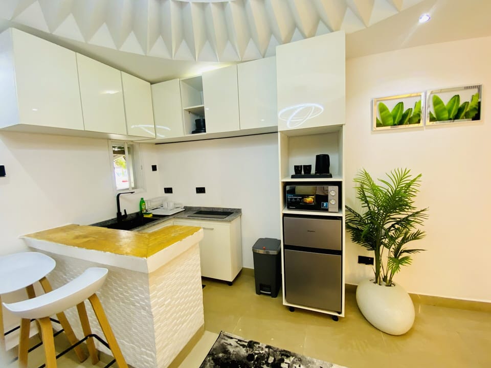 Deluxe Apartment | Private kitchen | Fridge, microwave