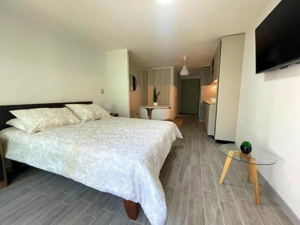 Basic Apartment | Iron/ironing board, WiFi (free)