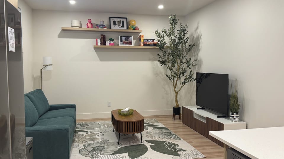 Living room/den space
