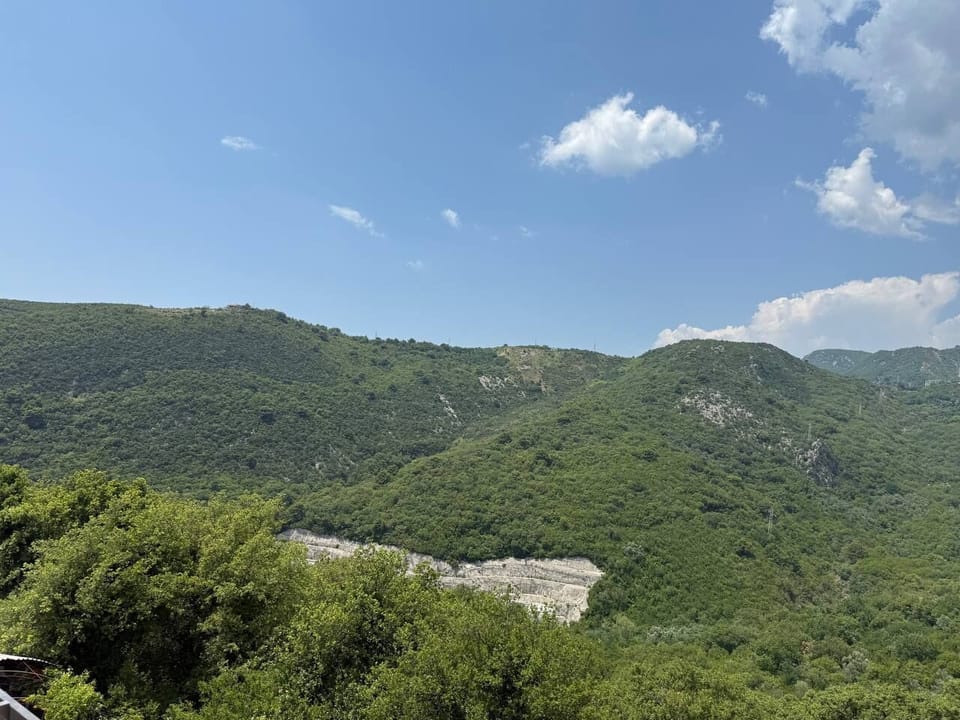 Miscellaneous