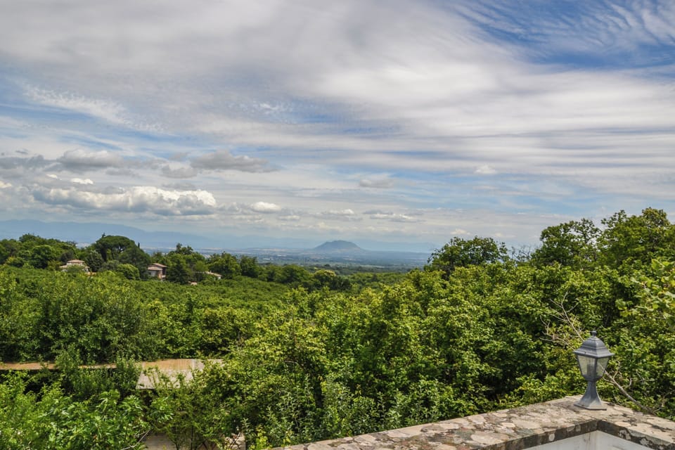 Villa, Balcony, Garden View | View from property