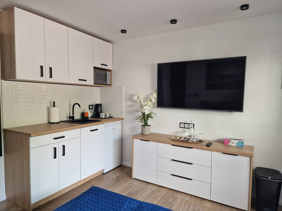 Premium Double Room, Ground Floor | Private kitchen | Fridge, microwave, cleaning supplies, paper towels
