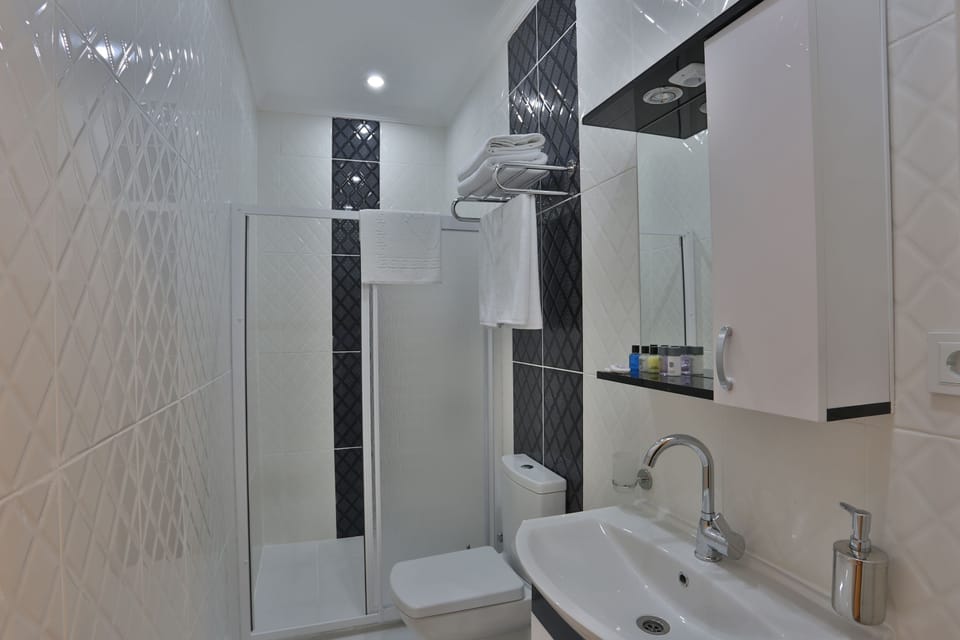 Standard Room | Bathroom | Shower, free toiletries, hair dryer, bathrobes