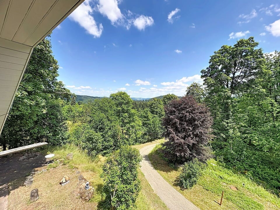 Leaf, Tree, Green, Natural Environment, Nature, Vegetation, Natural Landscape, Shrub, Landscape, Hill