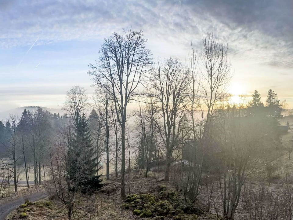 Sky, Branch, Tree, Nature, Natural Environment, Leaf, Atmospheric Phenomenon, Natural Landscape, Twig, Wilderness