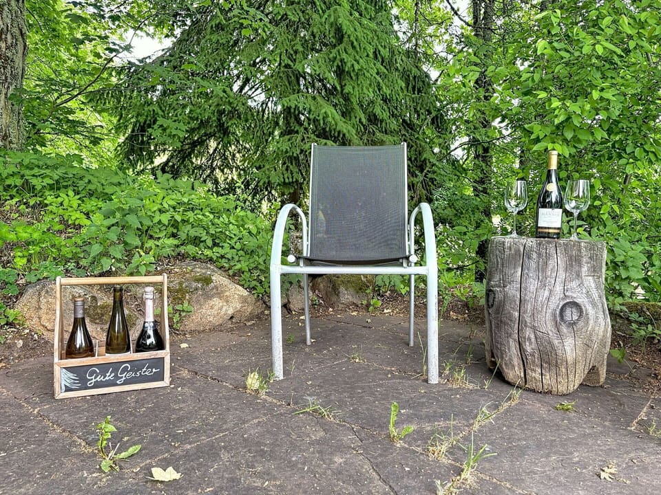 Furniture, Outdoor Furniture, Chair, Bottle, Garden, Glass Bottle, Outdoor Table, Woodland