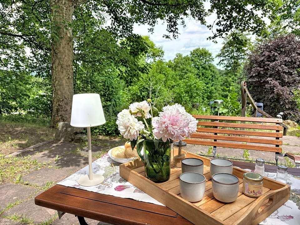 Furniture, Table, Flowerpot, Outdoor Table, Outdoor Furniture, Garden, Houseplant, Serveware, Chair