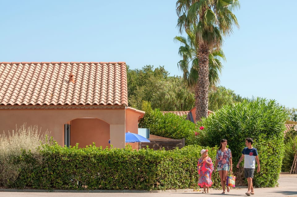 A shaded path winds through the domain past palm trees and blue-shuttered facades typical of the Roussillon region.