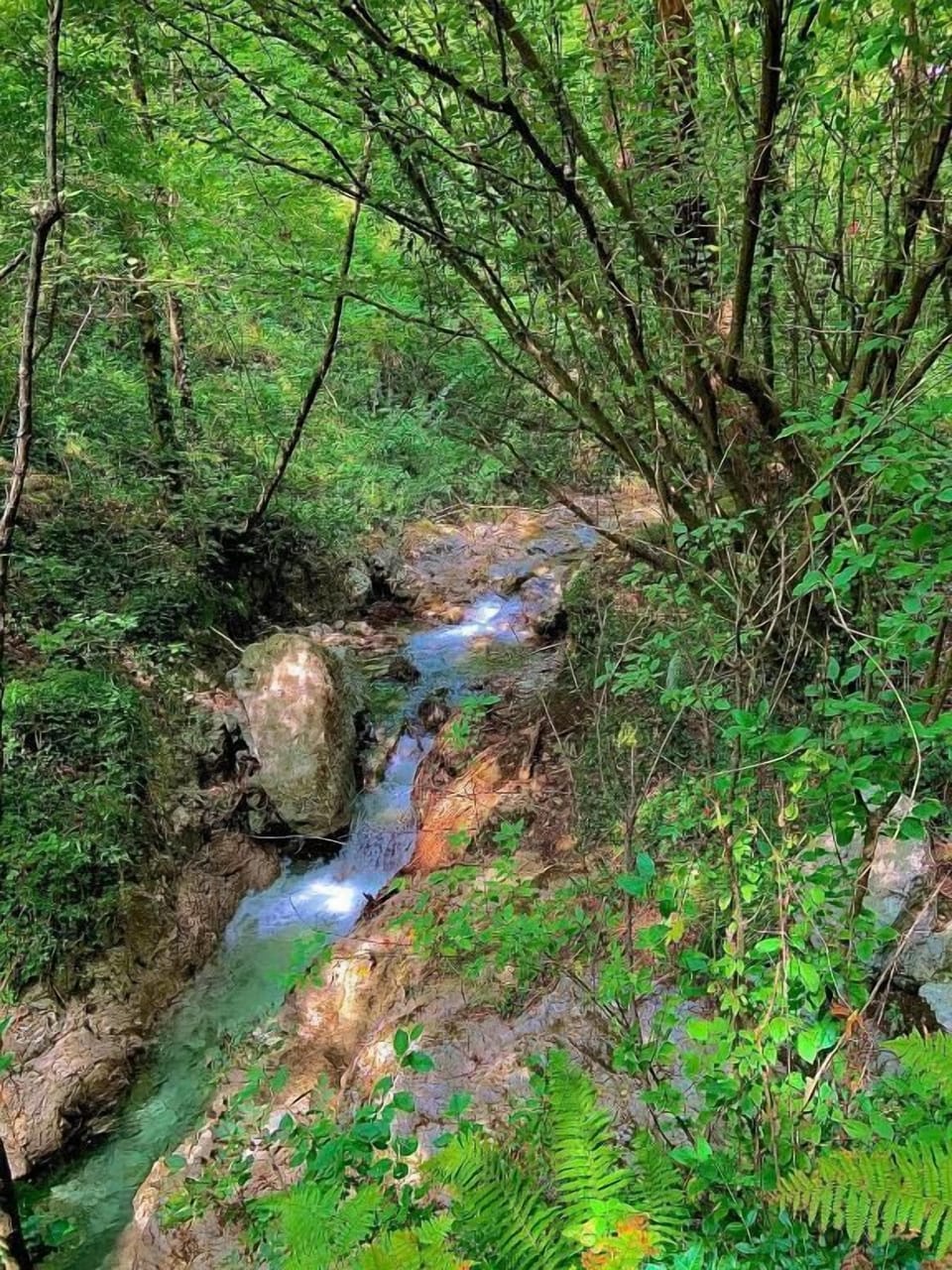 Hiking
