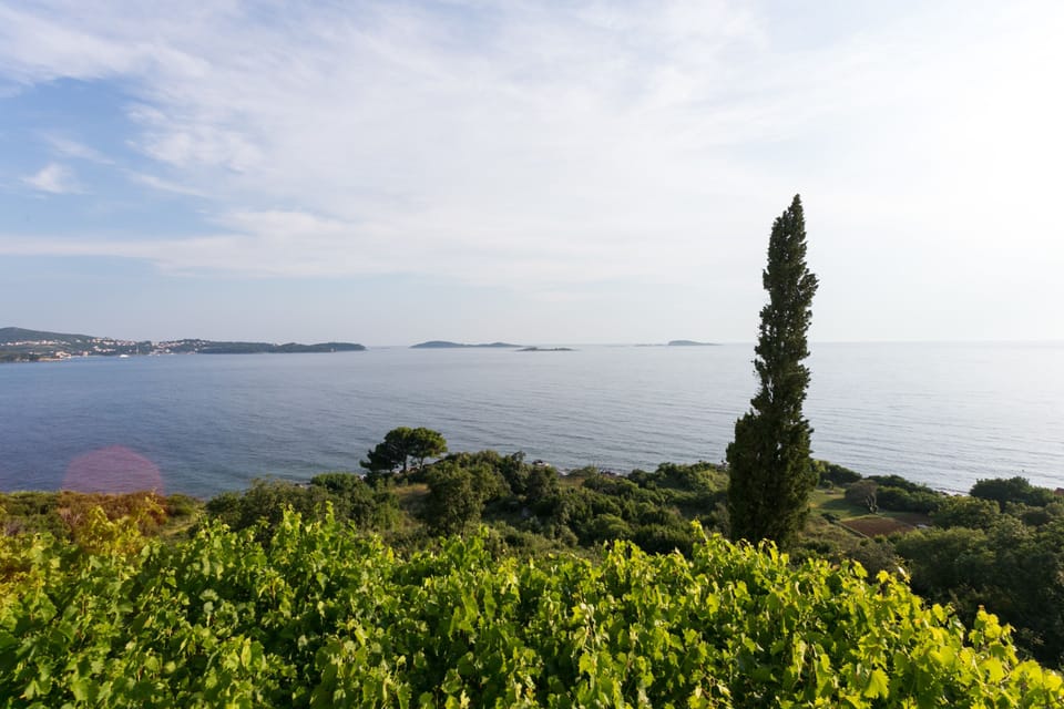 Apartment (Guest House Fontana - Two Bedroom Apa) | View from property