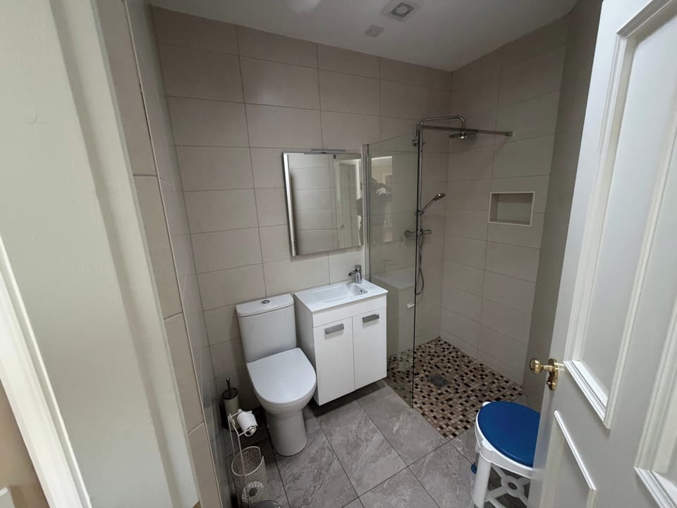The ground floor bathroom, showing the accessible wetroom styled dual shower facilities.