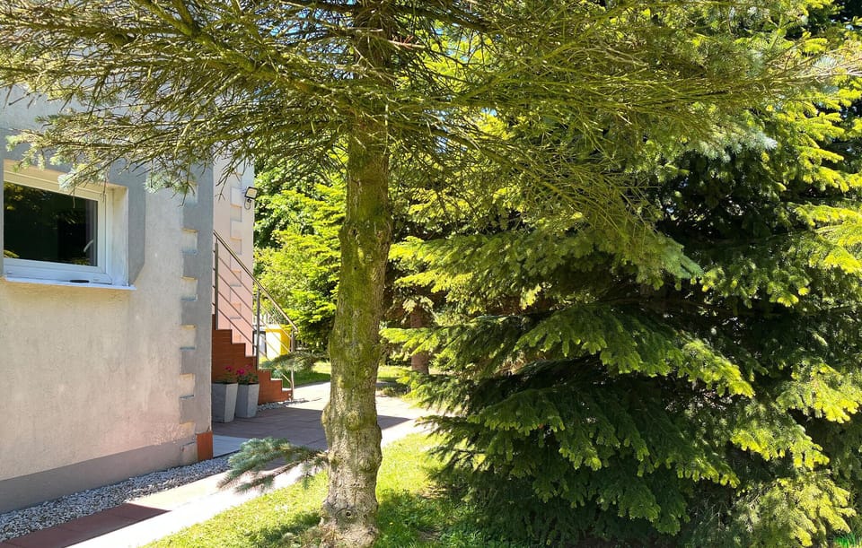 outside