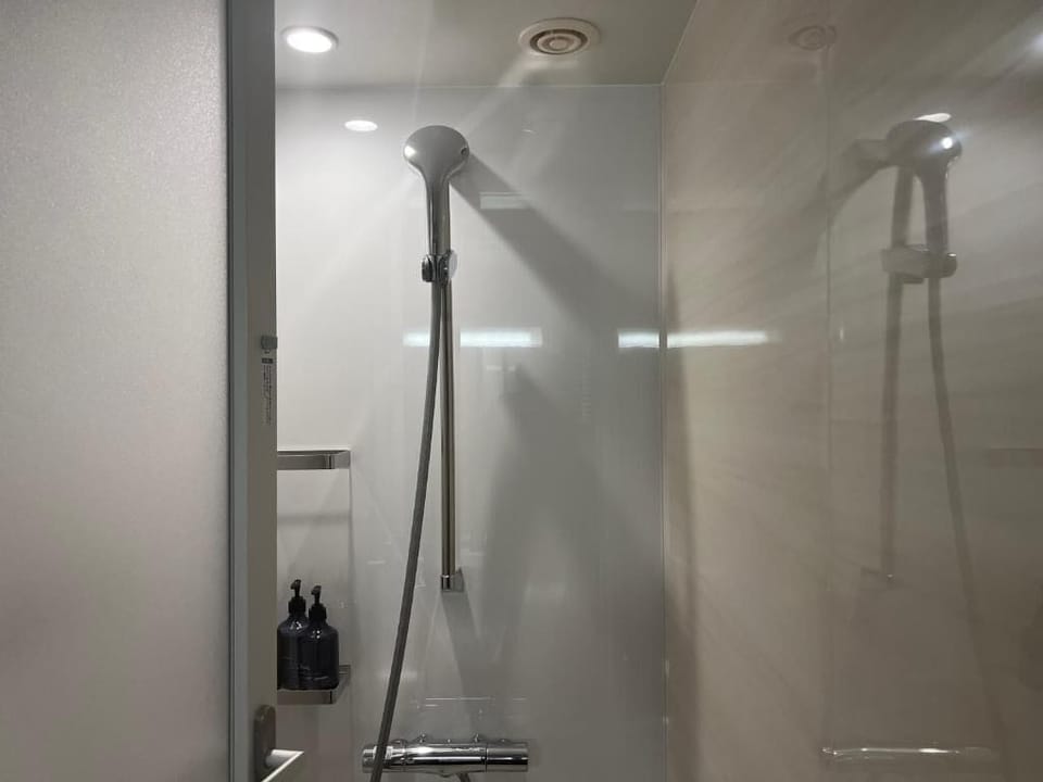 Shower, free toiletries, hair dryer, towels