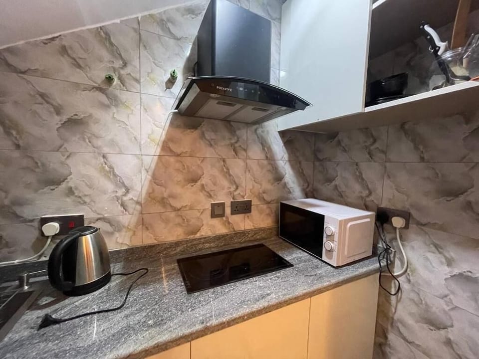 Deluxe Apartment, Balcony, City View | Private kitchen | Fridge, microwave, oven, stovetop