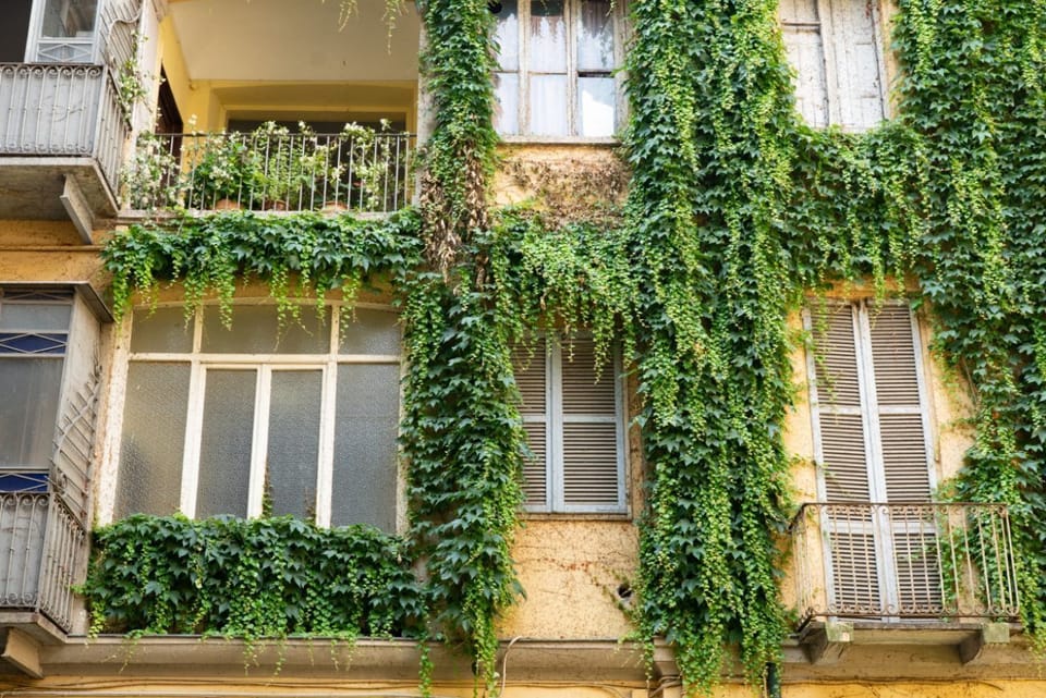 Exterior detail