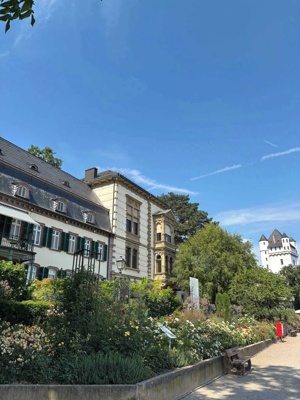 Rheinufer Eltville 
(Nur 10 Gehminuten von der Wohnung entfernt)
