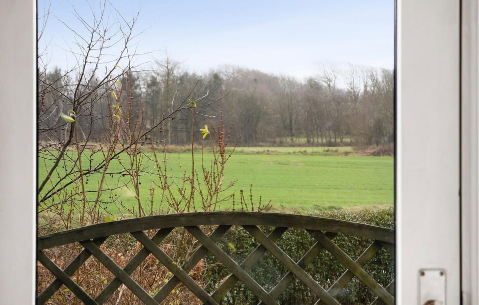 view-from-room