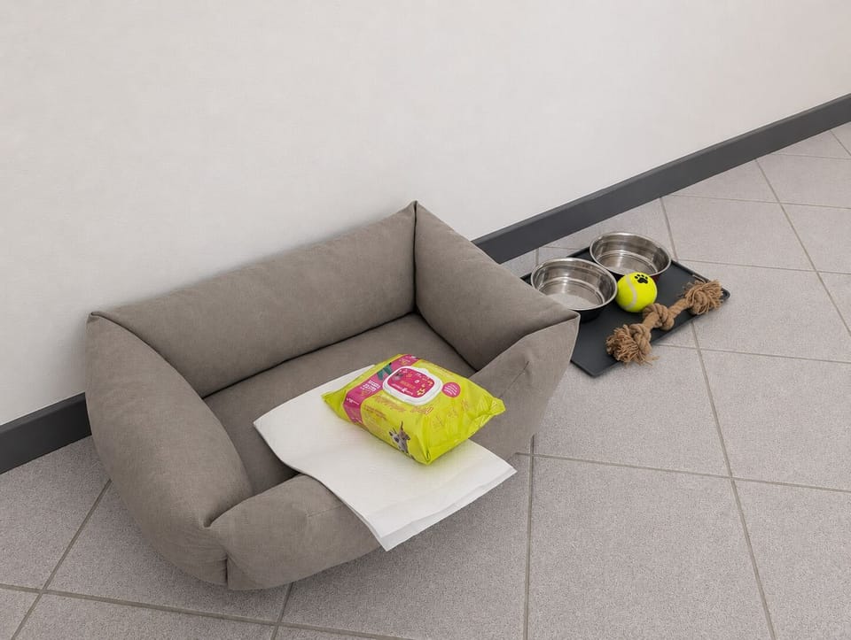 Pet-friendly