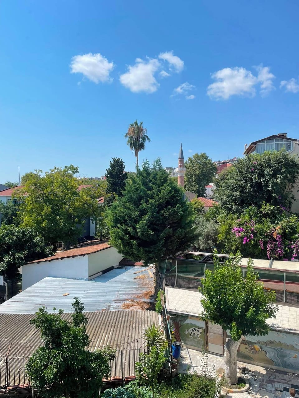 View from property