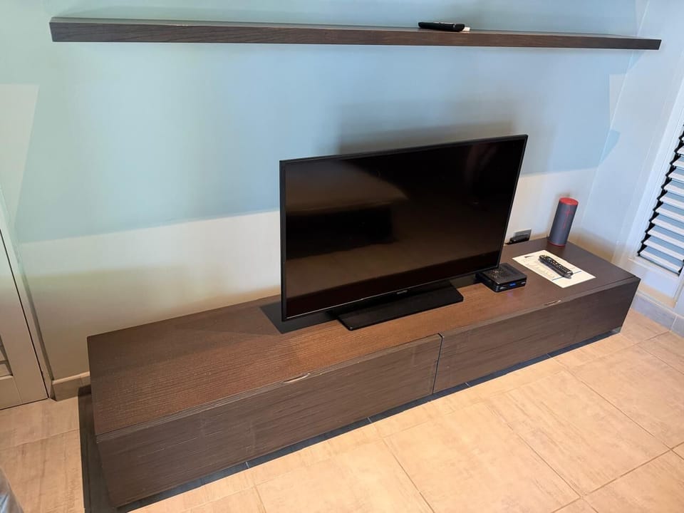 Television